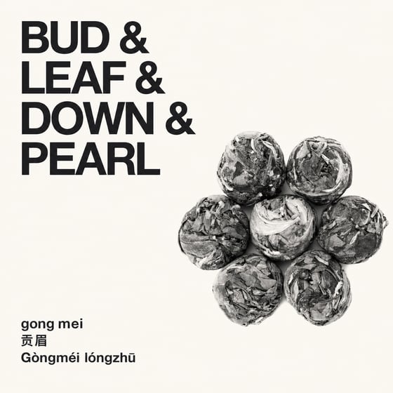 Gòng Méi