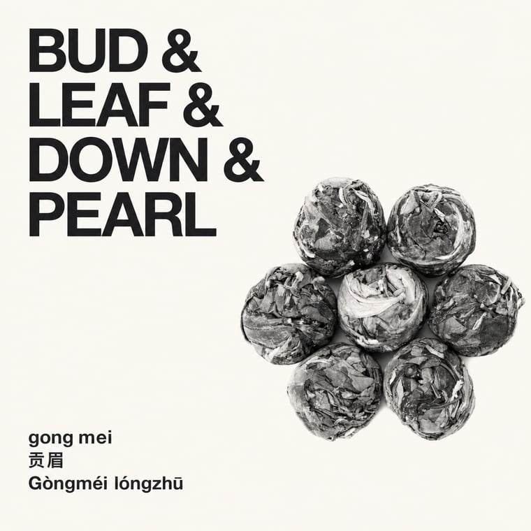 The design — Gòng Méi