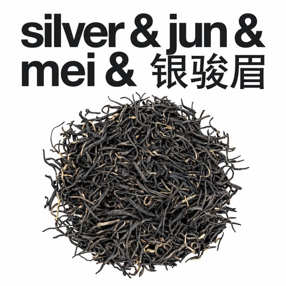 Yín Jùn Méi