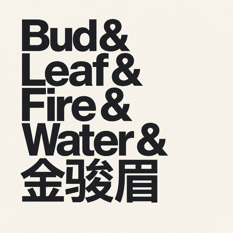 The design — Jīn Jùn Méi